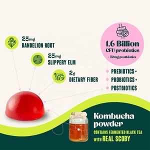 OEM/ODM dapat disesuaikan probiotik Kombucha Gummies dengan probiotik & suplemen serat untuk dewasa kembung & GMO gratis Gummy - Product Image 2
