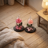 Roses séchées préservées au toucher réel, Eternelle, décoration pour la Saint-Valentin, la fête des mères, Pâques, longue durée (3-5 ans), prix d'usine
