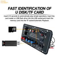 Carte d'amplificateur numérique avec microphone AC110-220V DC 12V 24V Amplificateur de puissance de voiture BT Télécommande