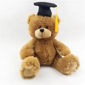 2024 toptan oyuncaklar imalatı özel akademik oyuncak ayı dolması hayvan oyuncak sevimli okul mezuniyet ayı hediyeler
