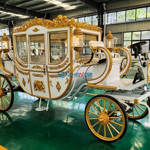 Calèche royale électrique de luxe sur mesure de haute qualité pour mariages et loisirs - Product Image 3