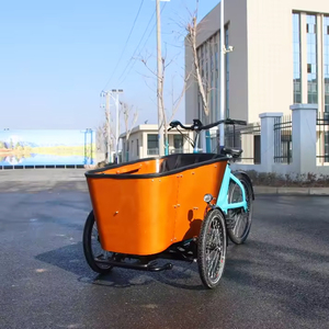 2024 500w mi entraînement moteur Cargo <span class=keywords><strong>vélo</strong></span> ceinture dent chaîne balançoire fonction Bakfiets électrique Cargo vélos pour 4 enfants - Product Image 4