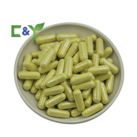 Prix Compétitif Extrait de Quercétine en Poudre Sophora Japonica Poudre de Quercétine Poudre de Quercétine Dihydratée