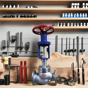 โรงงานผลิตตัวควบคุมแรงดันต่ำสแตนเลสสำหรับแก๊ส - Product Image 4