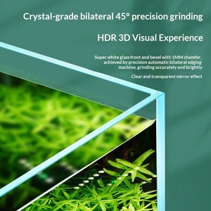 Acquario in vetro ultra-bianco per soggiorno, piccolo acquario per paesaggistica naturale, vasca per <span class=keywords><strong>tartarughe</strong></span> ecologica da tavolo per pesci <span class=keywords><strong>d</strong></span>'<span class=keywords><strong>acqua</strong></span> dolce sudamericani - Product Image 2