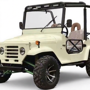 MH Willys 1200 60v 20AH Essence/Gasoline 351-450hp Garantie de 2 ans Batterie au plomb-acide pour enfants - Product Image 1