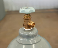 Cilindro de Helio Portátil de 15L de Flujo Rápido, Tanque de Gas Helio Vacío, Fácil de Usar para Suministro de Globos en Bodas y Cumpleaños