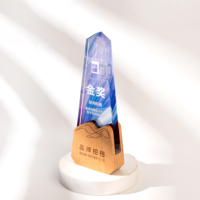 Nouveau trophée personnalisé en cristal coloré de forme créative, écologique et gravé, pour les employés exceptionnels, les vainqueurs et les champions – Ventes