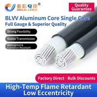 Maßgefertigtes Doppelschicht-BLVV-Kabel für Sicherheitsteams, Verstärktes OFA-PVC 450/750V Hauskabel für Gewerbegebäude