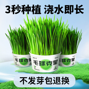 แคทกราสคัพ แฮร์บอลเอลิมิเตอร์ ไร้ดิน ทรงกลม MC002 รสผัก ขนมสำหรับสัตว์เลี้ยง - Product Image 4