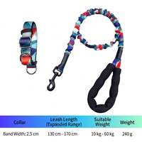 Laisse de chien classique en nylon rétractable, élastique et absorbant les chocs, laisse solide avec collier pour chiens de taille moyenne