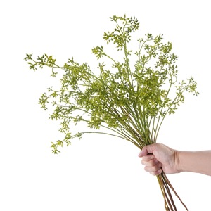 Fleurs artificielles CallaFloral en millet vert, branche unique en plastique, décoration intérieure, artisanat de mariage, style INS - Product Image 5