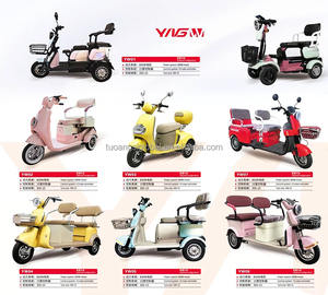 Venta caliente de fábrica Pasajero 3 Ruedas 1000W Uso en el hogar Ebike Triciclo Monopatín eléctrico Senior Citizen Car Top - Product Image 6