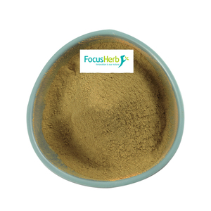 Focusherb สารสกัดจากใบเซนโนไซด์ผงสารสกัดจากใบมะขาม20% มะขามแขก - Product Image 1