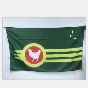 Stock <span class=keywords><strong>de</strong></span> alta calidad 100% poliéster 3*5 pies POHNPEI <span class=keywords><strong>BANDERA</strong></span> con dos ojales - Product Image 4