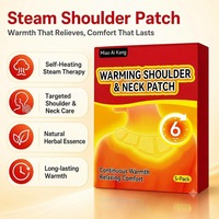 Patch chauffant auto-activant en gros pour les épaules, 5 pièces/boîte, à base d'armoise, pour le soulagement des douleurs au cou et aux épaules, bien-être