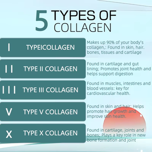 Cápsulas complejas de colágeno múltiple de 5 tipos de etiqueta privada con I II III V X Bioperine compatible con cápsulas de colágeno para la salud ósea de las articulaciones - Product Image 2