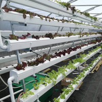 Grande tour hydroponique de jardin NFT, tuyau en Pvc avec pompe à eau pour les légumes et les fruits, livraison gratuite