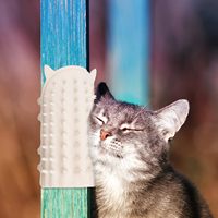 Grattoirs de visage de chat réglables pour table d'angle 2 en 1 Peigne à chatouiller autonettoyant