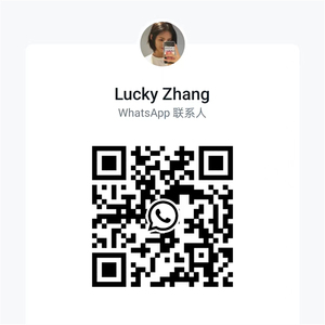 Original Diesel Inj ector G4 Steuerventil platte Motor teile für 23670-0E010 23660-0E020 Injektoren - Product Image 6