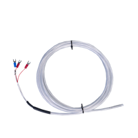 Sonde thermocouple RTD antichoc PT100, sur mesure, en acier inoxydable de qualité alimentaire, IP65, à montage fileté, capteur de température haute stabilité