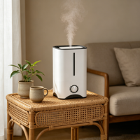 Humidificateur d'air électrique à ions négatifs 5L à remplissage par le haut, ultrasonique, pour chambre, bureau, école - Meilleures ventes