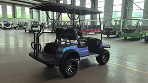 Productos Más Vendidos, Carro de Golf de Cuatro Ruedas con 2+2 Asientos, Motor de 650w, Batería de Plomo-Ácido de 100ah, Personalizable - Product Image 4