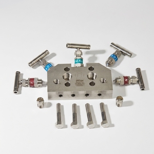 Collecteurs à cinq vannes FD-LOK en acier inoxydable 316, haute pression 5000 psi, raccord en T à 2 voies, aiguille manuelle pour gaz haute température - Product Image 2