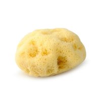 Éponge de mer douce naturelle, éponge en mousse de mer naturelle molletonnée organique, vente en gros, g