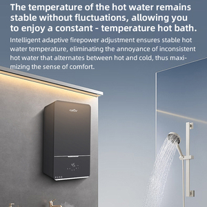 Chaudière murale à condensation <span class=keywords><strong>32</strong></span> <span class=keywords><strong>kW</strong></span> / Chaudière à <span class=keywords><strong>gaz</strong></span> / Système combiné chauffage et eau chaude / Système de chauffage / Chaudière à <span class=keywords><strong>gaz</strong></span> à prémélange complet - Product Image 2