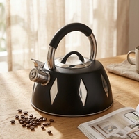 Bouilloire à eau chaude sifflante en acier inoxydable, 3L, portable, compatible induction, écologique, nouveau design élégant, sans électricité