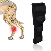 Genouillère pour chien personnalisée pour jambe arrière déchirée Acl grandes petites jambes arrière arthrite blessure pour animaux de compagnie néoprène