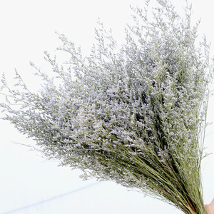 Venta al por mayor de fábrica caspea seca hierba de amante seca natural para decoración de fiesta en casa de boda - Product Image 1