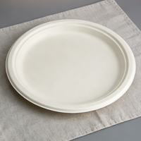 Assiettes rondes en canne à sucre de 10,2 pouces, zéro déchet, compostables, sans bois, fabriquées à partir de bagasse, parfaites pour les consommateurs soucieux de l'environnement