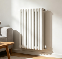 SLLS Nouveau Radiateur Colonne en Acier Décoratif 60 cm, Montage Vertical ou Horizontal, Chauffage à Eau, Design Moderne pour Résidence