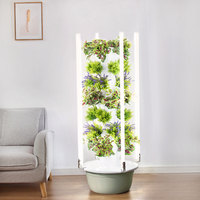 Usine directe nouveau système hydroponique de tour de jardin verticale intérieure NFT grand ABS LED élèvent la lumière Spacetree HT2D gris-vert/noir