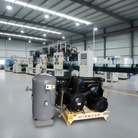 Compresseur d'air à vis haute pression Airhorse 30-40 bars 435-580 PSI 2,0 m³/min 70 CFM pour machine de soufflage de bouteilles PET
