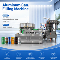 Ligne de production entièrement automatique de boissons liquides pour le remplissage de canettes, ligne de production de boissons gazeuses, jus, bière en canettes d'aluminium