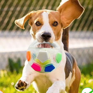 Zenidoo - Juguete Masticable para Perros de TPR, Moderno y Duradero, Pelota Interactiva para Jugar al Fútbol, Resistente a Mordidas, para Border Collie y Corgi - Product Image 5