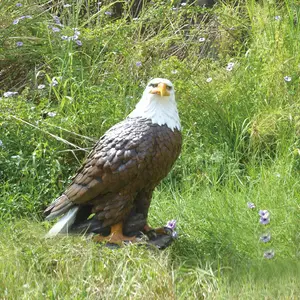 Gran águila simulación Animal tamaño real resina estatua fibra de vidrio águila artesanía escultura al aire libre