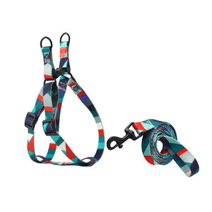 Correa de perro de nailon Arnés de moda colorido para perros pequeños y medianos Gancho de metal Cinta para gatos Juego de correa para mascotas - Product Image 1