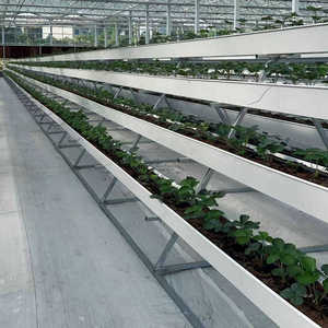 <span class=keywords><strong>Culture</strong></span> Plateau de <span class=keywords><strong>culture</strong></span> Abreuvoir pour gouttière de plantation de fraises - Product Image 1