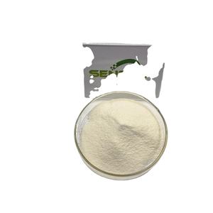 Gomitas de bromelina OEM Extracto de piña 50000U/G bromelina en polvo bromelina - Product Image 3