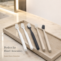 Lot de brosses à dents jetables avec dentifrice pour hôtels et distributeurs de produits hôteliers