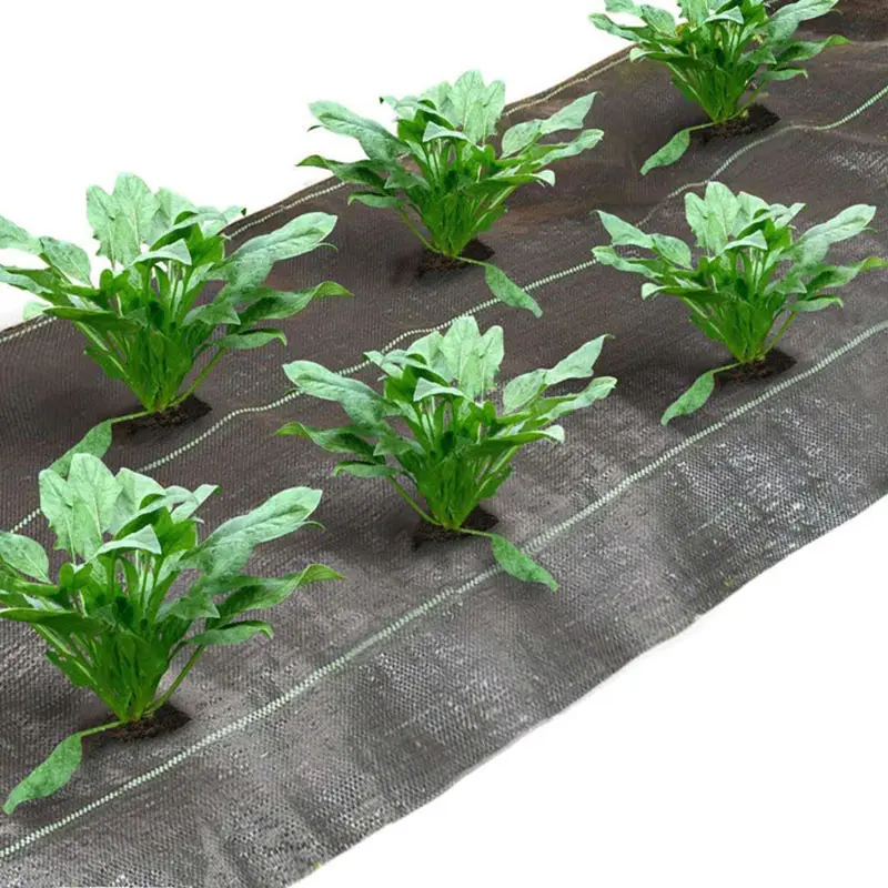 PP Woven Weed Control Fabric Mat Plastic Pp Weed Control Barrier Geotextile Fabric