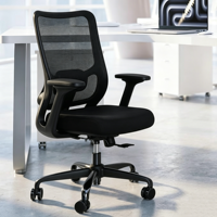 Chaise de bureau ergonomique réglable avec support lombaire pour la maison et le bureau, chaise de conférence avec accoudoirs en métal