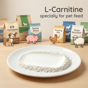 Aminoacidi di Grado Alimentare L-carnitina per Nutrizione Animale Suina con Promozione della Crescita Sana e della Riproduzione - Product Image 2