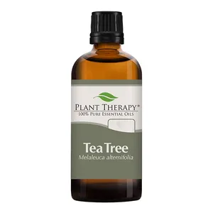 Bottle Aromatherapy Organic Tea 100%Tree Bulk Price Concentration Oil For Glass