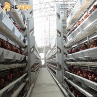 Xin — équipements agricoles de la volaille à couche commerciale, cellules de batterie à poulet, système pour vente au japon