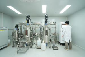 Vitamina K2 MK7 Microincapsulata 10000 PPM, Polvere Fermentata per Migliorare la Nutrizione, Integratore Alimentare Salutare Genegrow - Product Image 3